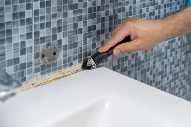 Best Bathroom Mold Remediation in Tucker, GA