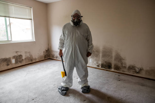 Best Industrial Mold Remediation in Tucker, GA